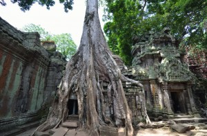 Ta Prohm