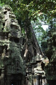Ta Prohm
