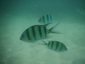 20130709-000941-1280R