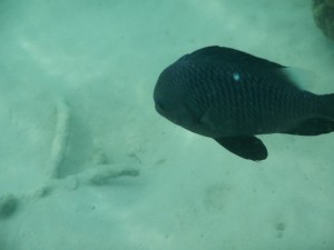 20130709-001105-1280R