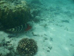 20130709-001208-1280R