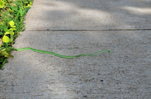 20130710-010124-1280R