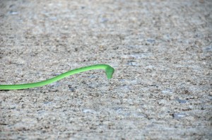 20130710-010129-1280R