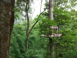 20130711-235146-1280R