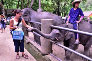 20130715-211711_01-1280R