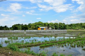 20130720-232652-1280R