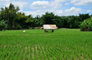 20130720-233208-1280R