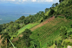 20130721-015956-1280R