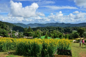 20130721-020136-1280R