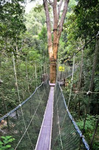 20130724-010143-1280R