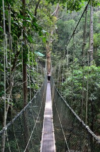 20130724-010331-1280R