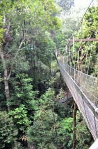 20130724-010633-1280R