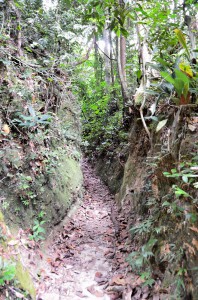 20130724-014709-1280R