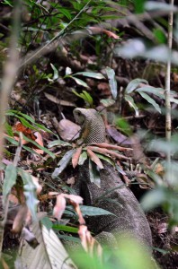 20130724-015104-1280R