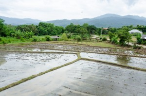 20140626-231720-1280R