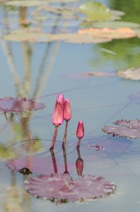 20140627-013740-1280R