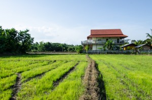 20140627-030538-1280R