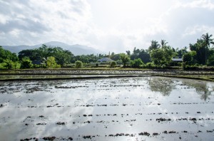 20140627-030836-1280R