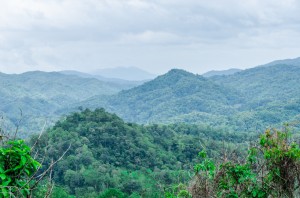 20140630-222724-1280R