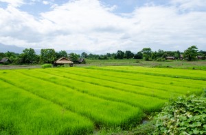 20140701-005022-1280R