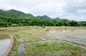 20140701-005256-1280R