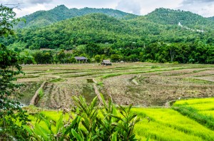 20140701-031000-1280R