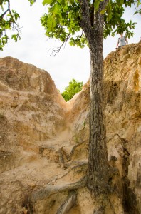 20140702-033456-1280R