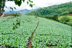 20140704-215756-1280R