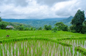 20140704-221432-1280R