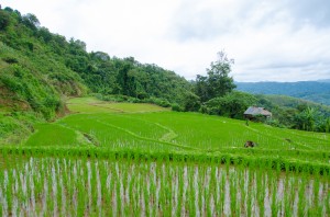 20140704-221436-1280R