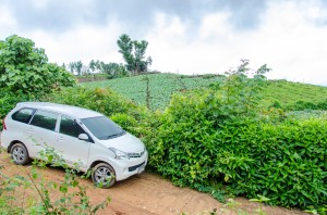 20140704-224126-1280R