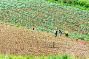 20140704-230258-1280R