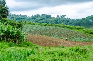 20140704-230304-1280R