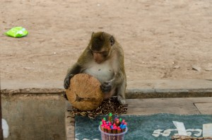 20140714-002036_01-1280R