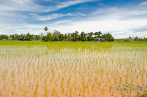 20140715-204524-1280R