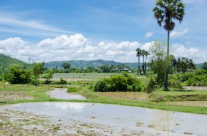 20140715-213304-1280R