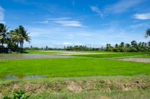 20140715-213736-1280R