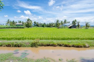 20140715-214510-1280R