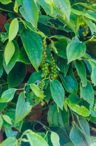 20140715-233802-1280R