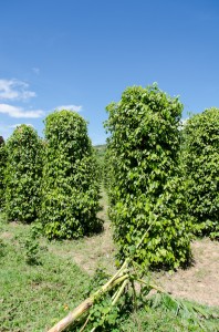 20140715-234002-1280R