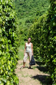 20140715-234034-1280R