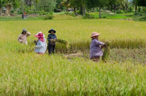 20140716-002008-1280R