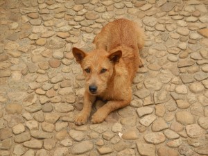 20140717-005829-1280R