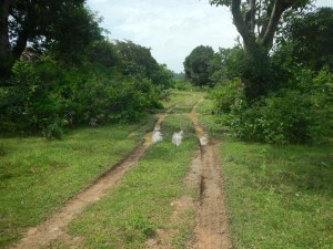 20140719-230405-1280R