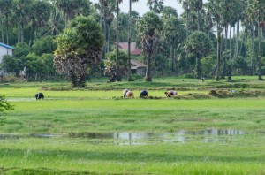 20140720-024806-1280R