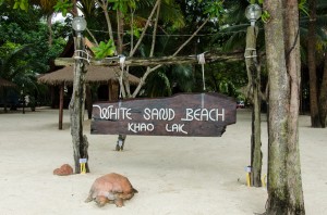 20140725-225626-1280R